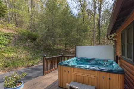 Your Smoky Mountain Cabin suite…In the heart of the Smokies.  Dog friendly!