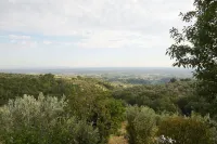 Villa Vestra in Vinci holiday home