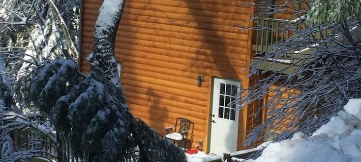 Peaceful Cozy Cabin Amongst the Trees with View of Lake Arrowhead Hotels in Lake Arrowhead