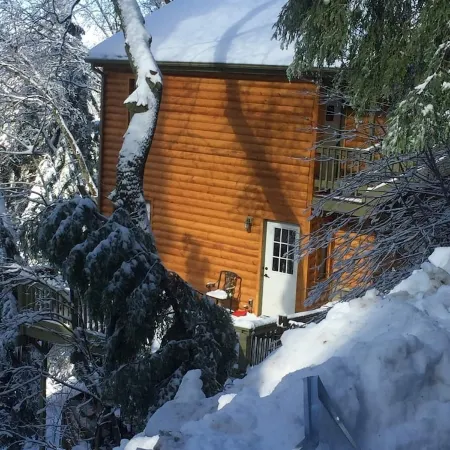 Peaceful Cozy Cabin Amongst the Trees with View of Lake Arrowhead