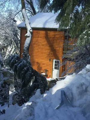 Peaceful Cozy Cabin Amongst the Trees with View of Lake Arrowhead