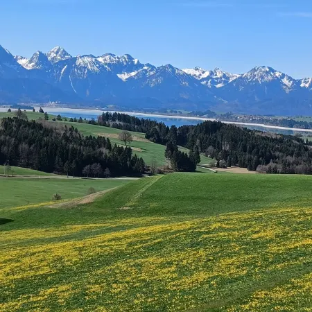 Vacation apartment with a wonderful alpine panorama