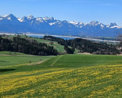 Vacation apartment with a wonderful alpine panorama Hotels in Halblech