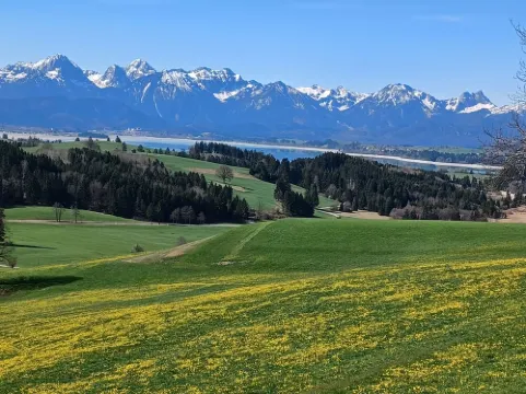 Vacation apartment with a wonderful alpine panorama