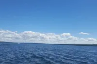 My Sweet Escape... come as friends, leave as family