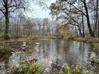Nature lover's cabin on over 60 acres.