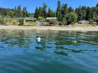 Clam Cove Cottage on South Vashon Island Beachfront Hotels in Vashon