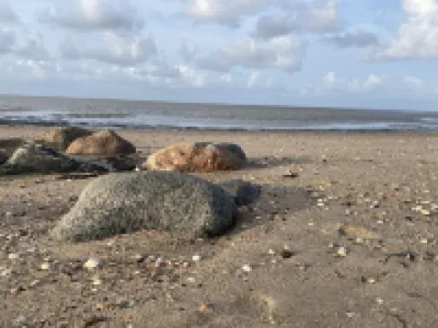 directly on the beach, balcony overlooking the sea, beach chair, close to the golf course