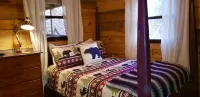 HootOwl Cabin Mountains, Trails and Huge Hot Tub under the Stars!