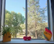 Comfy Loft Retreat Above the Pines