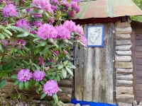 Cozy Cabin: Peaceful Haven in the Heart of Nature Hotels in Yancey County