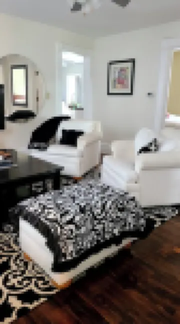 Charming 3-bedroom apartment in lovely Grand Rapids walk to downtown.