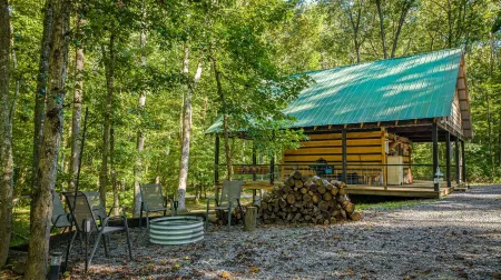 Christmas in Dixie it’s Snowing in the Pines on Lookout Mtn! Hot Tub,Fire-Pit;
