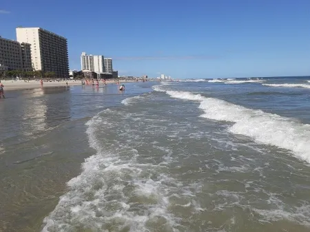 Borders Coastal Carolina University  25 min from  beach.  Quiet neighborhood. Отели рядом с достопримечательностью «Конуэй Риверуок»