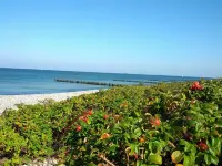 DG apartment only 250 meters to the beach