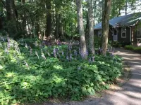 CHARMING Saluda on My Mind – 2min Walk to Downtown