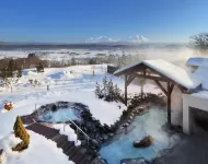 Morinoyu Hotel Hanakagura Hotels in Kamikawa District