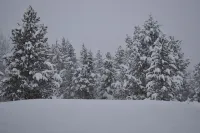 Price Drop!!!  Outland Meadows Cabin Near Yellowstone Park