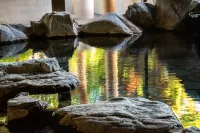 BARCOS RYOKAN 三朝荘 - 溫泉
