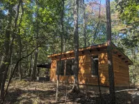 Modern Cloudland Cabin, 1.5 miles of private trails through 10 acres of woodland