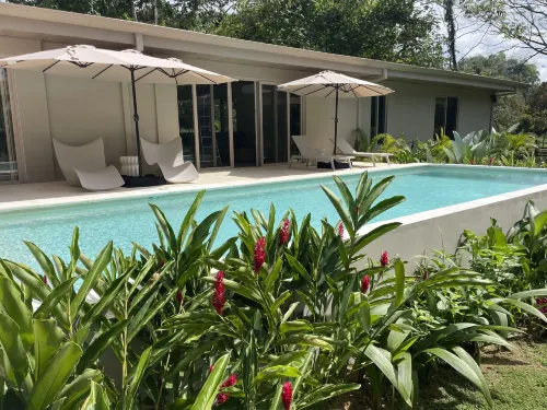 海浪伴侶海濱優雅