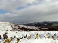 Burren Bushcraft - Camping & Adventures Hotels in 