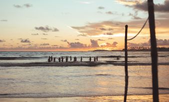 Happy Hammocks, Hiriketiya Beach - Sri Lanka