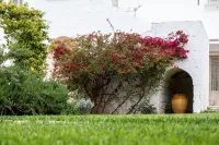 Masseria Scaledda -  Casas de vacaciones