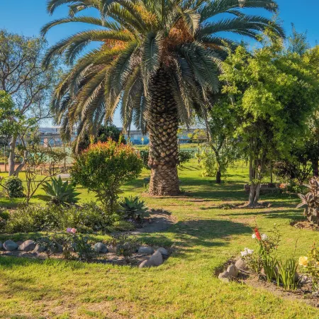 Cabaña Villa Los Plátanos