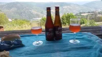 Hotel Pension Winzerhaus - 3-Star