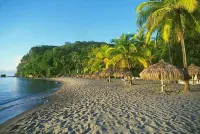 The Still Beach House