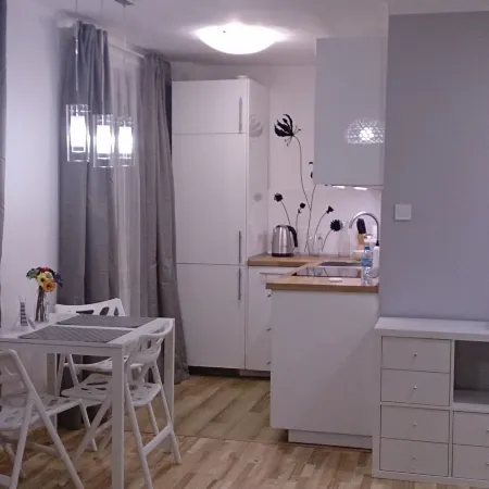 1 Bedroom City Center Apartment