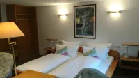 Pension Landhaus Fischer - Daniel Fischer Hotels in Pirmasens