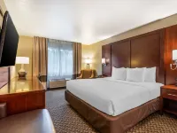 Comfort Inn Fairfield Napa Valley Area Hotels in Fairfield