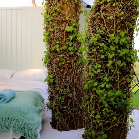 Atlantic Surf Pods - Campsite