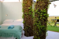 Atlantic Surf Pods - Campsite - Wifi