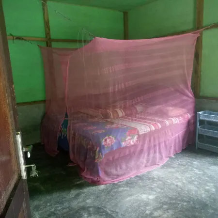 Green Lodge Tangkahan