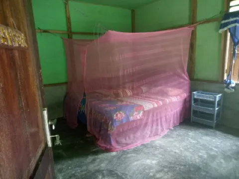 Green Lodge Tangkahan Hotels in 