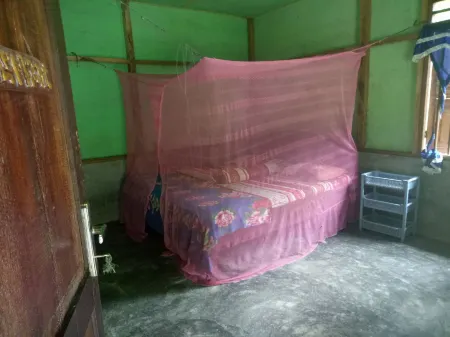 Green Lodge Tangkahan Отели в г. Ланкат