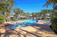 Nrma Blue Dolphin Yamba Holiday Resort - Pools