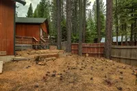 Woodland Escape - Cute Little Cabin in the Woods!