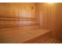 Mascos Hotel Masuda Onsen - Spa