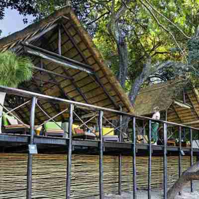 Ichingo Chobe River Lodge by Mantis Hotel Exterior