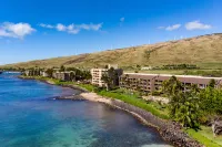 Maalaea Banyans 411 - Modern Renovation, Direct Ocean Front, Incredible View, AC