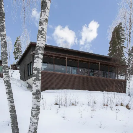 Villa koivu