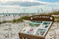 Grayt Paradise Hotels in Santa Rosa Beach