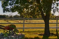 Enduring Heart Bed and Breakfast Inc. Hotels in Kemptville