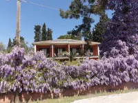 Dassia Beach Pension
