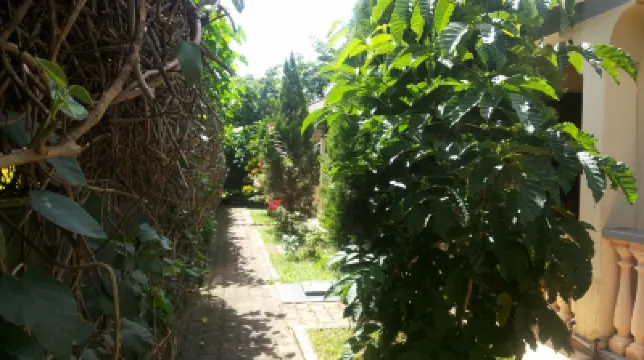 Dich Comfort Hotel - Main Branch Hotels in 