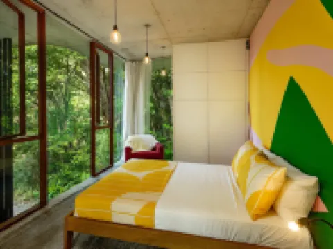 The Planchonella House - Eco Stay de Luxe Hotels in Edge Hill